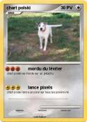 chart polski chart polski