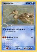 méga canard