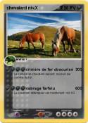 chevalard niv.X