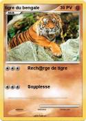 tigre du