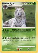 souchie tigre