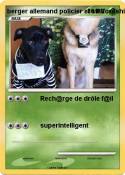 berger allemand