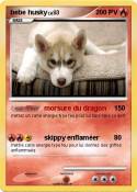 bebe husky
