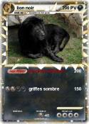 lion noir