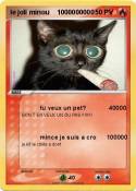 le joli minou