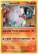 Sasache EX