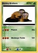 Monkey Brothers