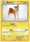 Shiba Inu