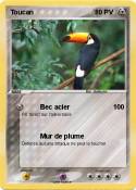 Toucan