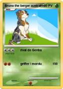 Bruno the berger australien Bruno the