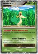 Vipélierre