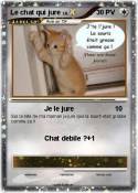 Le chat qui