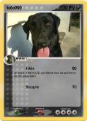 toto999