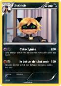 chat noir