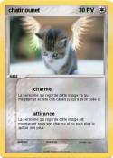 chatinounet