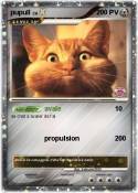 pupull