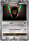 Maître chat