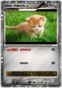 tueur chatons