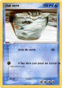chat verre