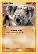 Koala Tueur