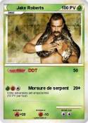 Jake Roberts