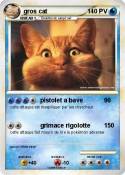 gros cat