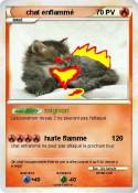 chat enflammé