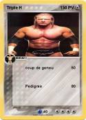 Triple H Triple H