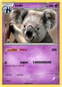 koala