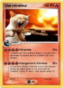 chat mitrailleur chat