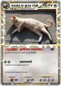 bouba le gros