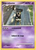 loup-rottweiler