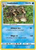 Noadkoduck