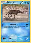 Pakicetus Pakicetus