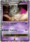 cromignon