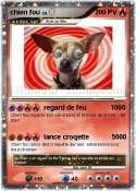 chien fou