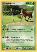 Poneylo junior