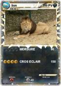 lion lion