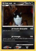 le chat noir ex