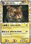 tigre electro