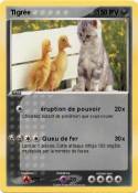 Tigrée