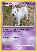 westie mix