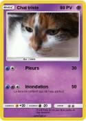 Chat triste
