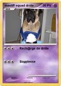 mastiff squad drôle mastiff squad