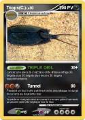 Triops(C.)