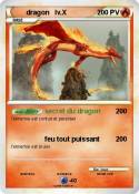 dragon lv.X