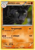 panthère noire panthère noire