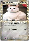 chat obese