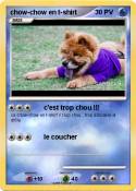 chow-chow en
