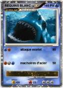 REQUINS BLANC